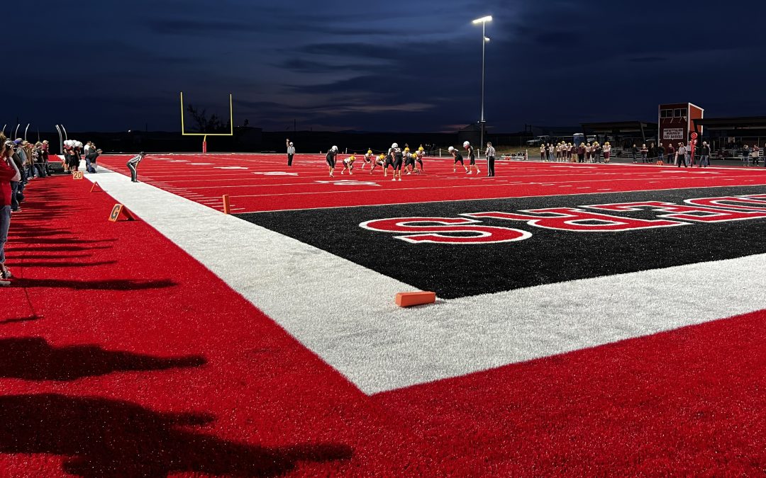 Synthetic Athletic Turf With Real Pop!